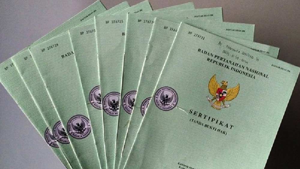 Detail Sertifikat Rumah Dan Tanah Nomer 29