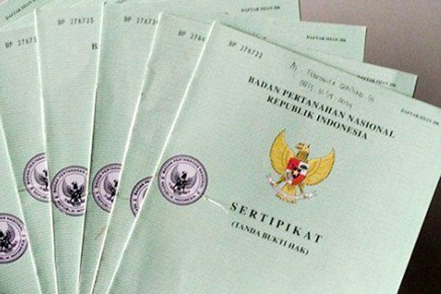 Detail Sertifikat Rumah Dan Tanah Nomer 31