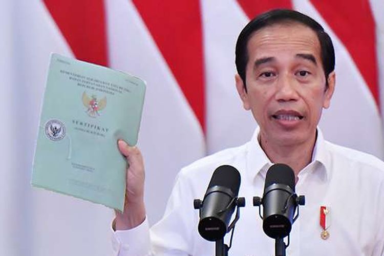 Detail Sertifikat Rumah Dan Tanah Nomer 49