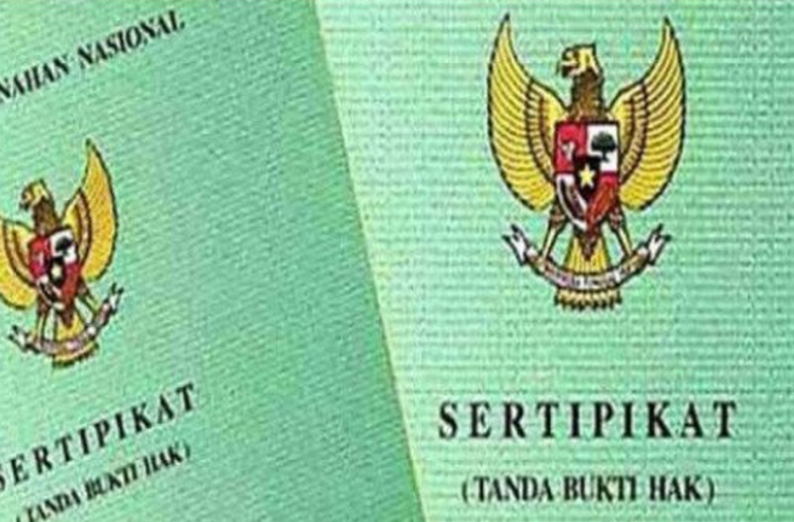 Detail Sertifikat Rumah Dan Tanah Nomer 51