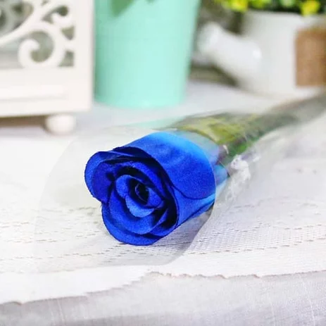 Detail Setangkai Bunga Mawar Biru Nomer 20