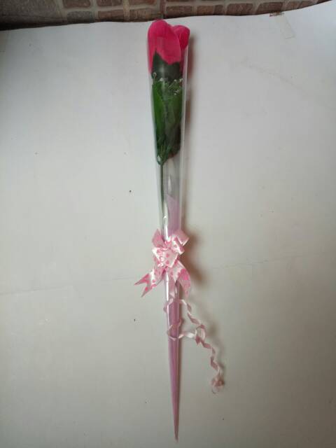 Detail Setangkai Bunga Mawar Dari Pacar Nomer 2