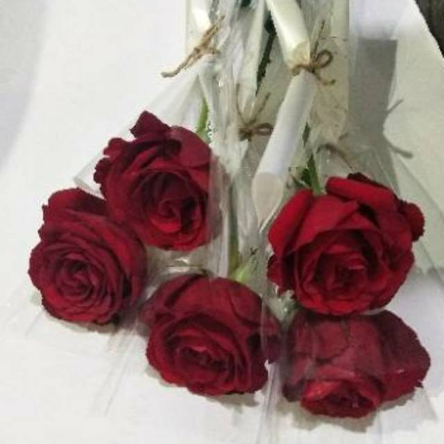 Detail Setangkai Bunga Mawar Dari Pacar Nomer 18