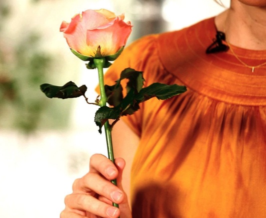 Detail Setangkai Bunga Mawar Dari Pacar Nomer 33