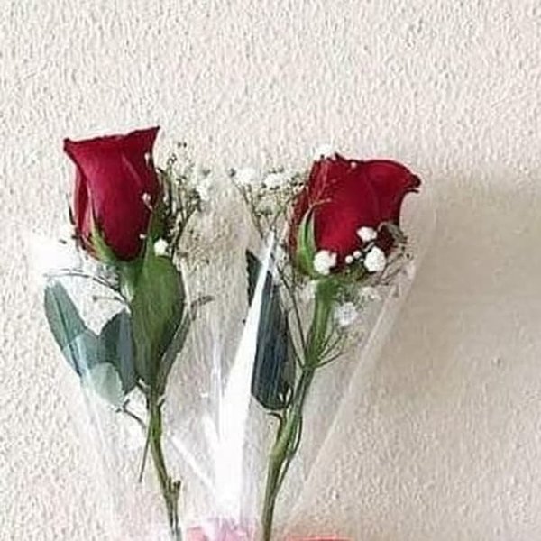 Detail Setangkai Bunga Mawar Dari Pacar Nomer 5