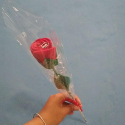 Detail Setangkai Bunga Mawar Dari Pacar Nomer 46