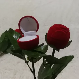 Detail Setangkai Bunga Mawar Merah Nomer 45
