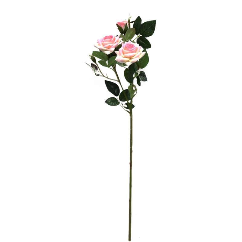 Detail Setangkai Bunga Mawar Pink Nomer 48
