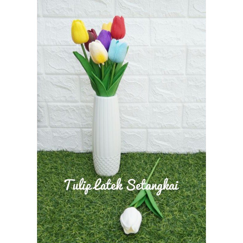 Detail Setangkai Bunga Tulip Nomer 42