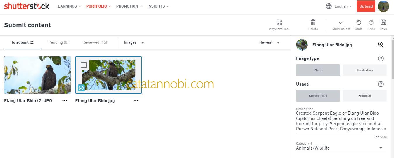 Download Setelah Foto Di Approve Shutterstock Nomer 2
