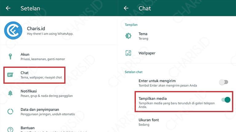 Detail Setting Wa Agar Gambar Setelah Dihapus Tidak Hilang Di Galeri Nomer 2