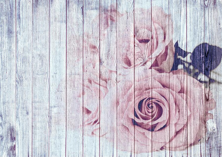 Detail Shabby Chic Background Nomer 25