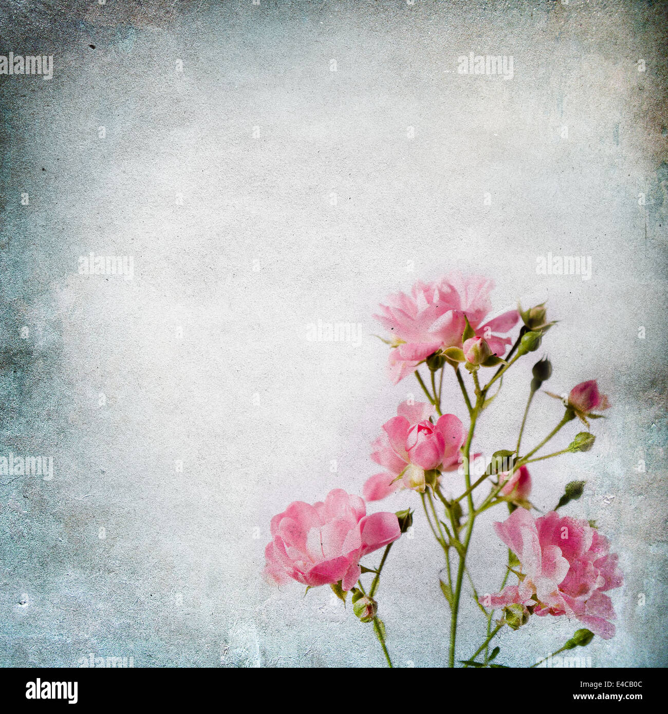 Detail Shabby Chic Background Images Nomer 27