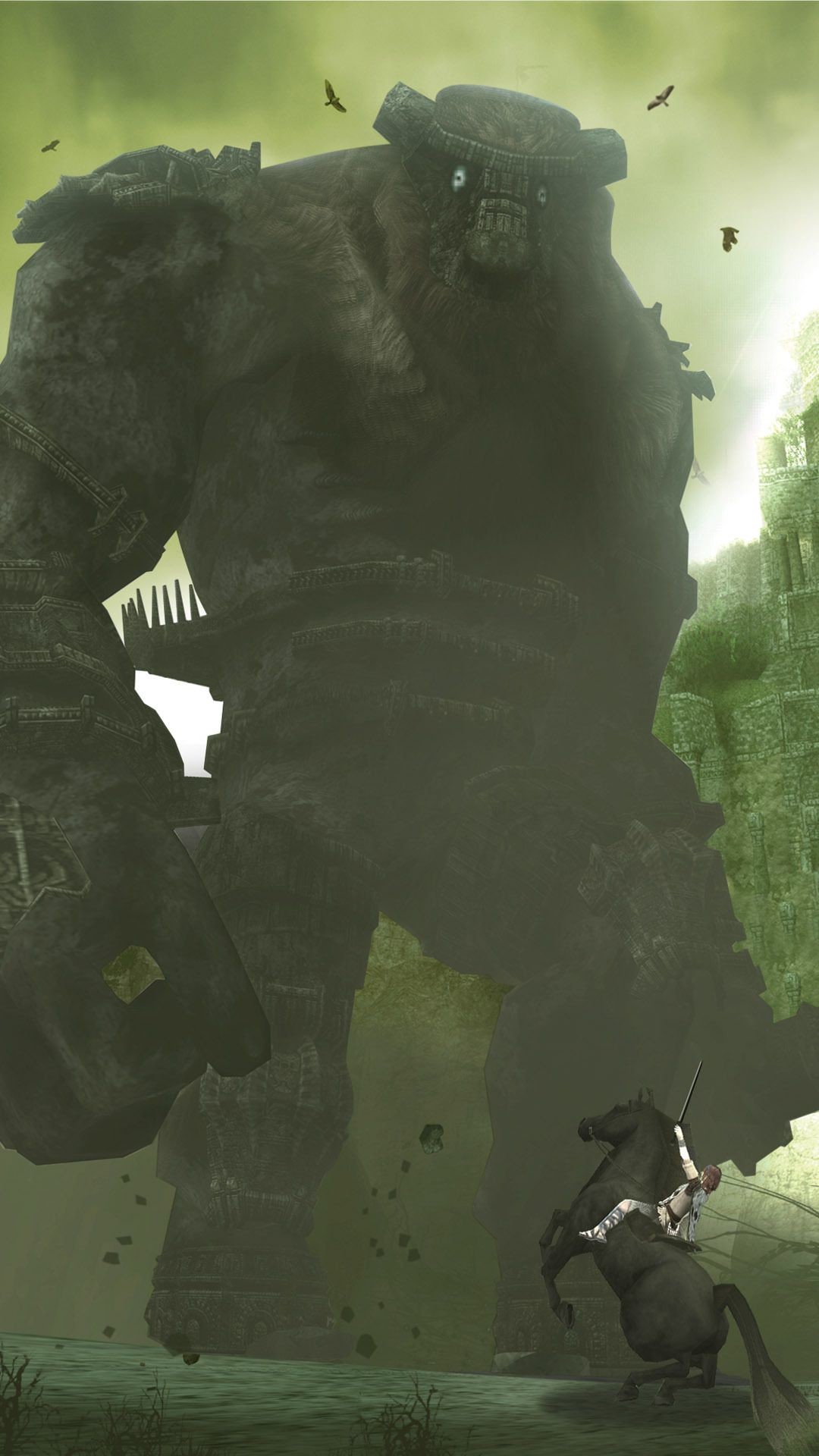 Detail Shadow Of Colossus Wallpaper Nomer 28