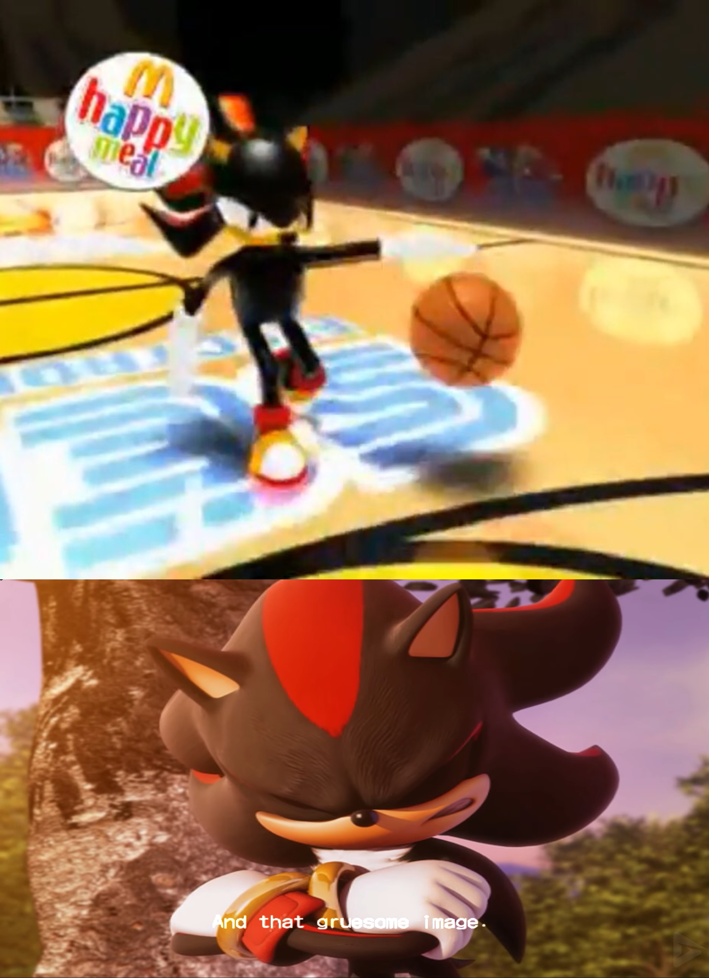 Detail Shadow The Hedgehog Basketball Nomer 4