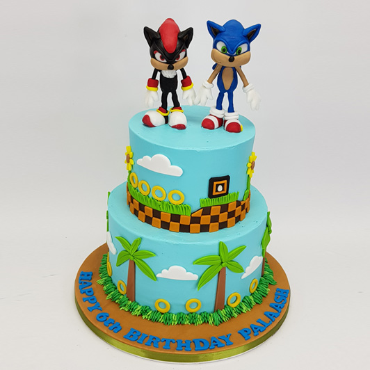 Detail Shadow The Hedgehog Birthday Cake Nomer 23