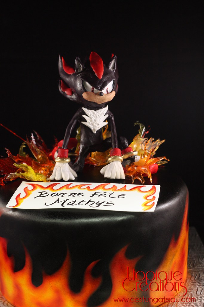 Detail Shadow The Hedgehog Birthday Cake Nomer 45