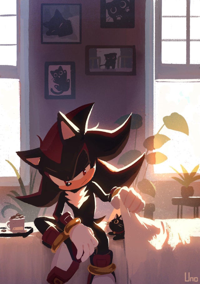 Detail Shadow The Hedgehog Coffee Beans Nomer 13