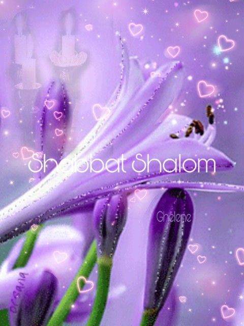 Detail Shalom Wallpaper Nomer 43