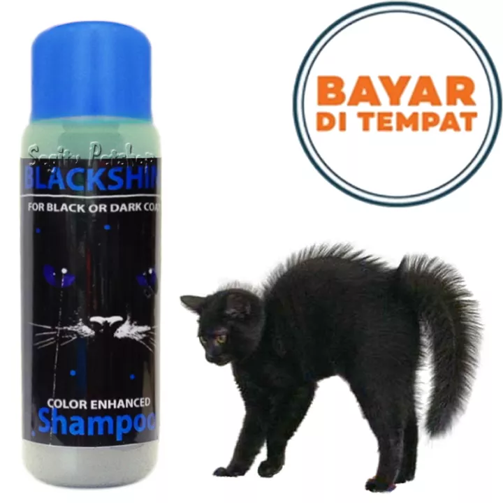 Detail Shampo Kucing Hitam Nomer 13