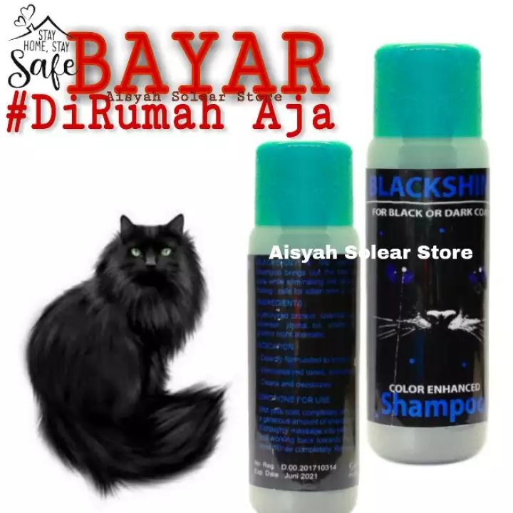 Detail Shampo Kucing Hitam Nomer 16