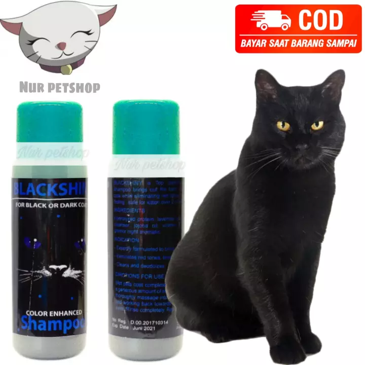 Detail Shampo Kucing Hitam Nomer 30