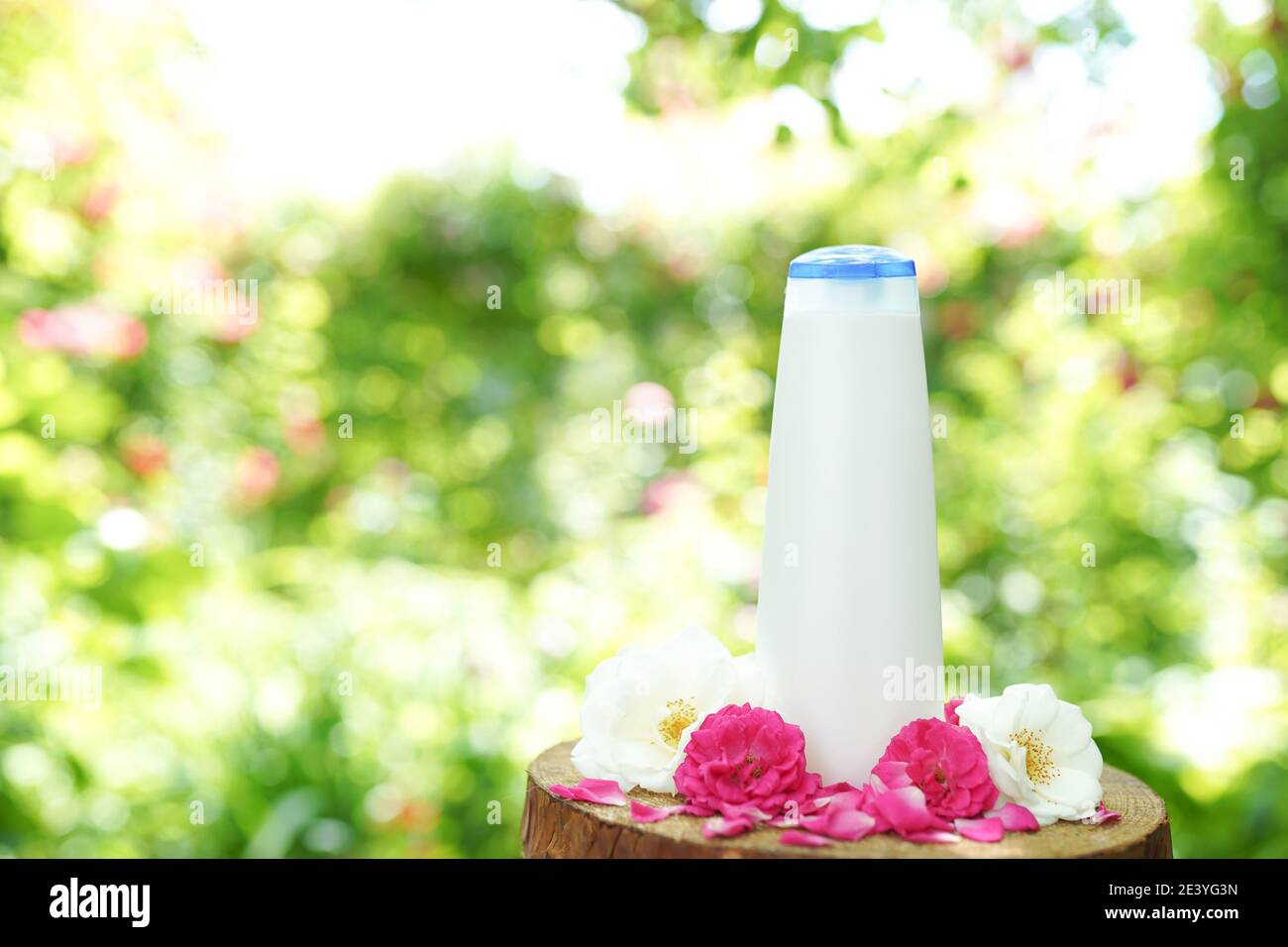 Detail Shampoo Background Nomer 37