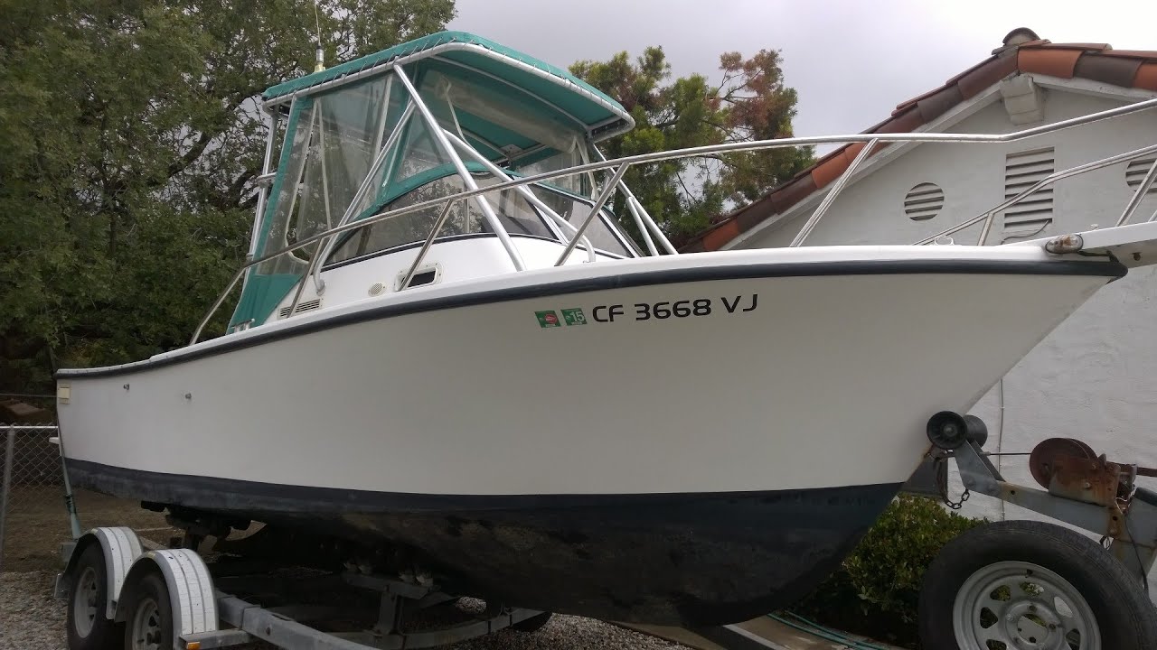 Detail Shamrock 22 Predator Nomer 13