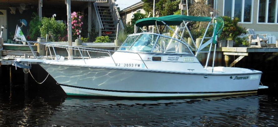 Detail Shamrock 22 Predator Nomer 4