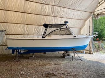Detail Shamrock 22 Predator Nomer 32