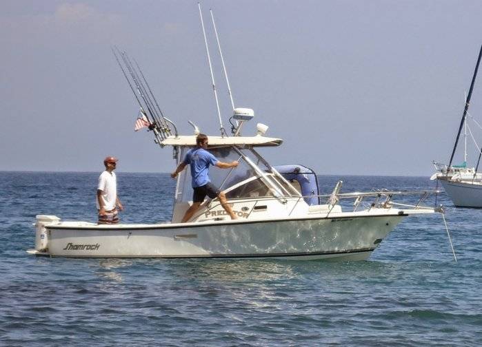 Detail Shamrock 22 Predator Nomer 40
