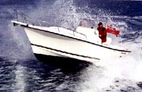 Detail Shamrock 22 Predator Nomer 41