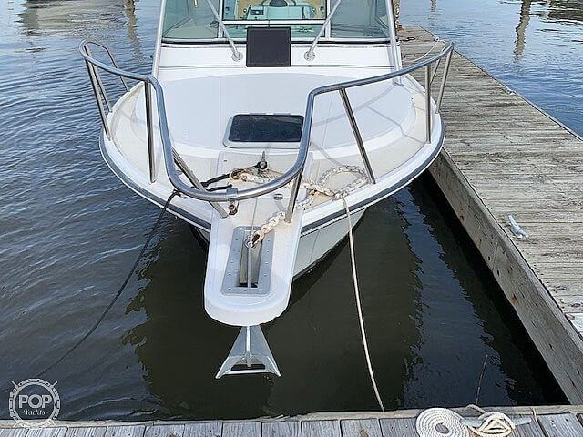 Detail Shamrock 22 Predator Nomer 43