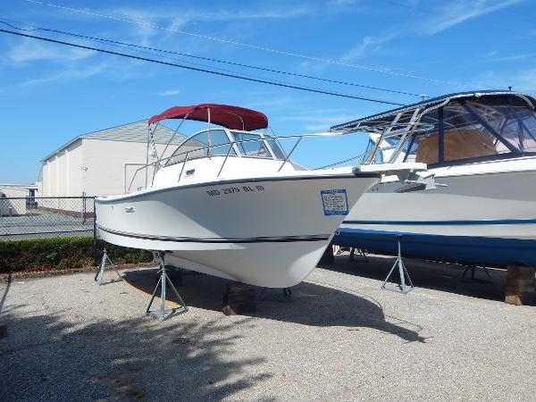 Detail Shamrock 22 Predator Nomer 49