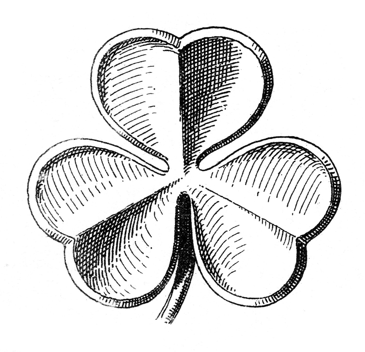 Detail Shamrock Black And White Clipart Nomer 45