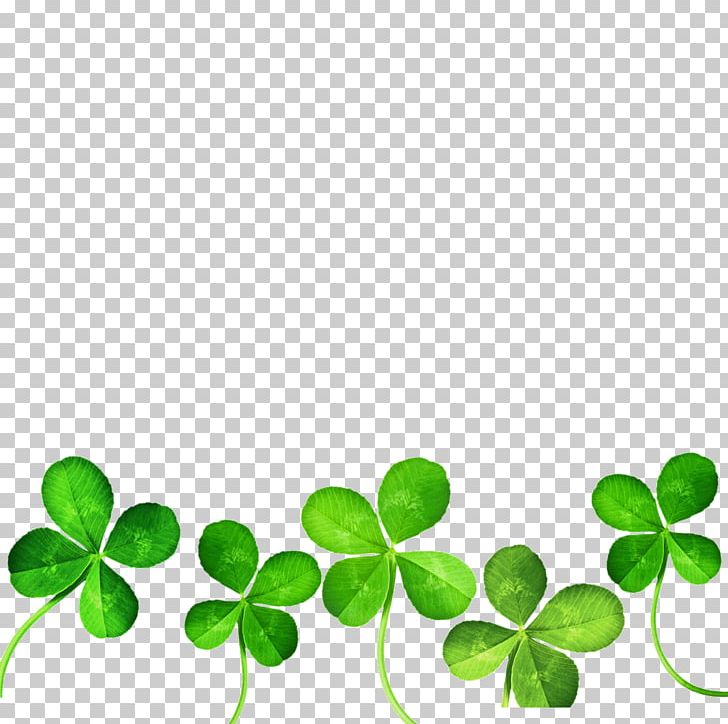 Detail Shamrock Border Png Nomer 36