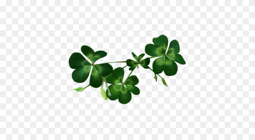 Detail Shamrock Clipart Transparent Background Nomer 51