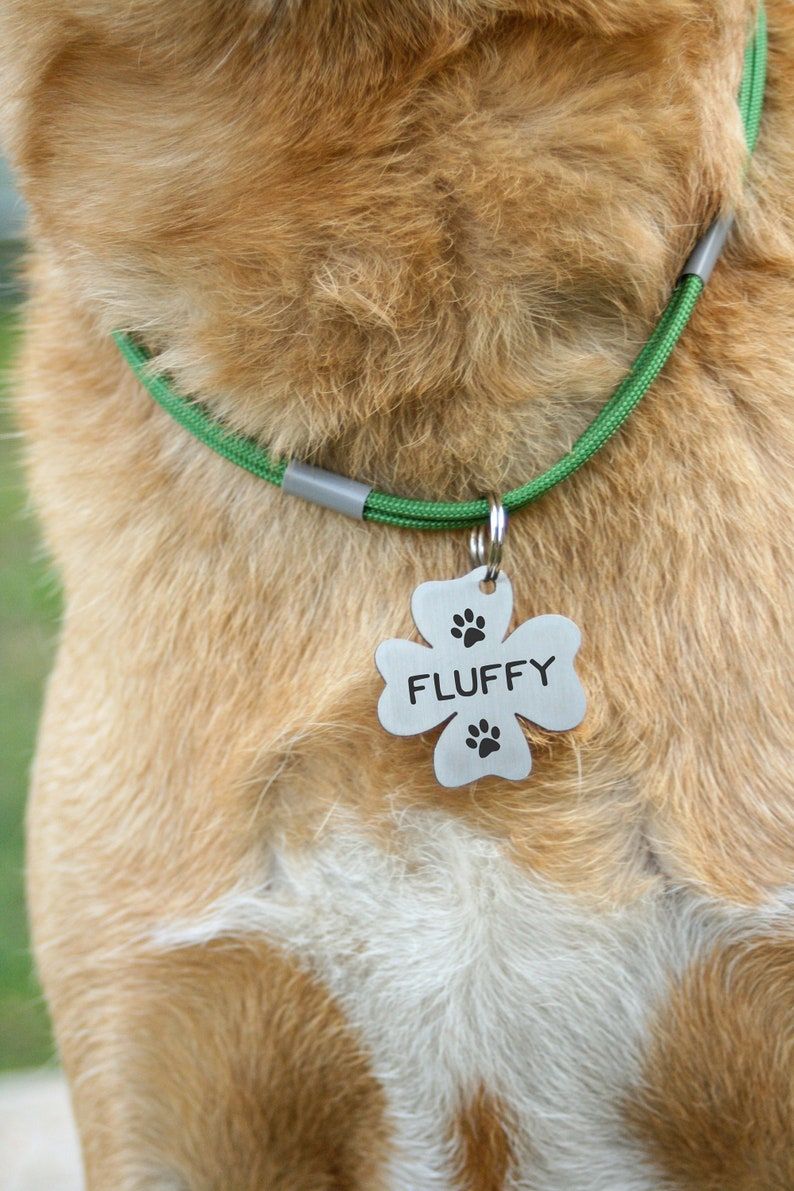 Detail Shamrock Dog Id Tag Nomer 34