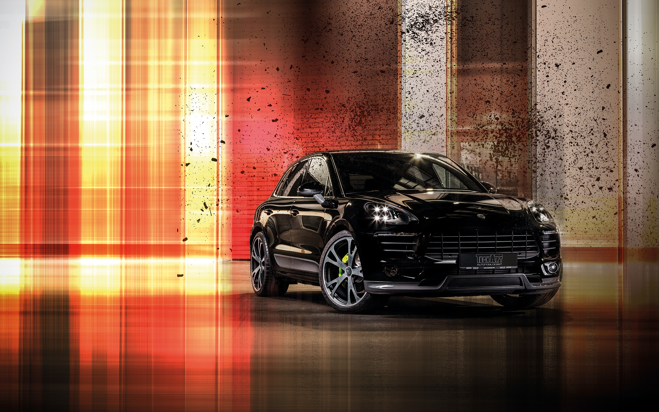 Detail Walpaper Macan Nomer 24