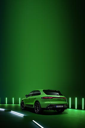 Detail Walpaper Macan Nomer 29