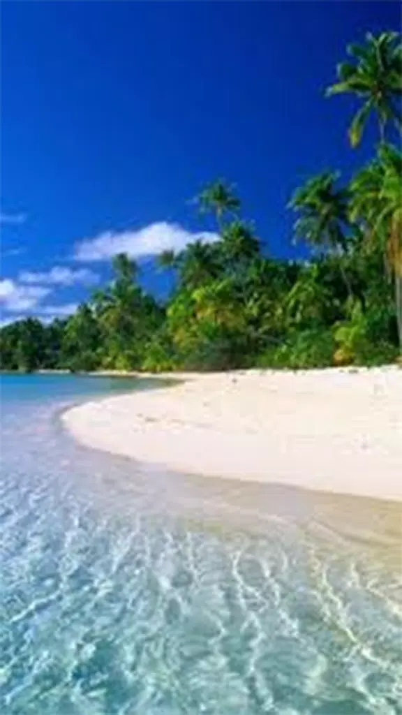 Detail Walpaper Pantai Nomer 40