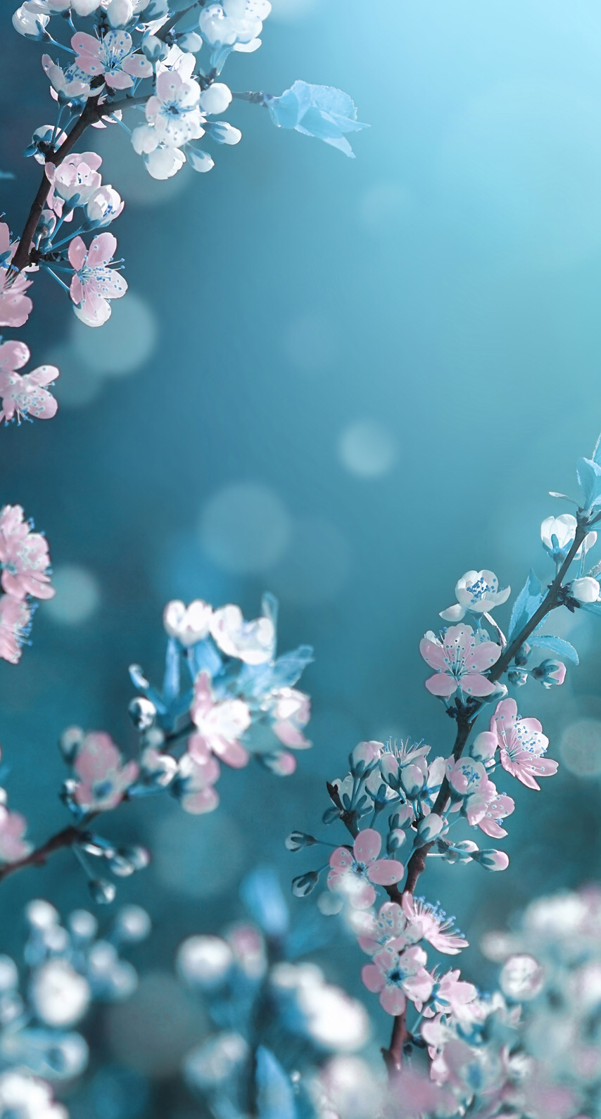 Walpaper Theme - KibrisPDR