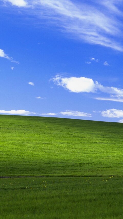 Detail Walpaper Windows Xp Nomer 28