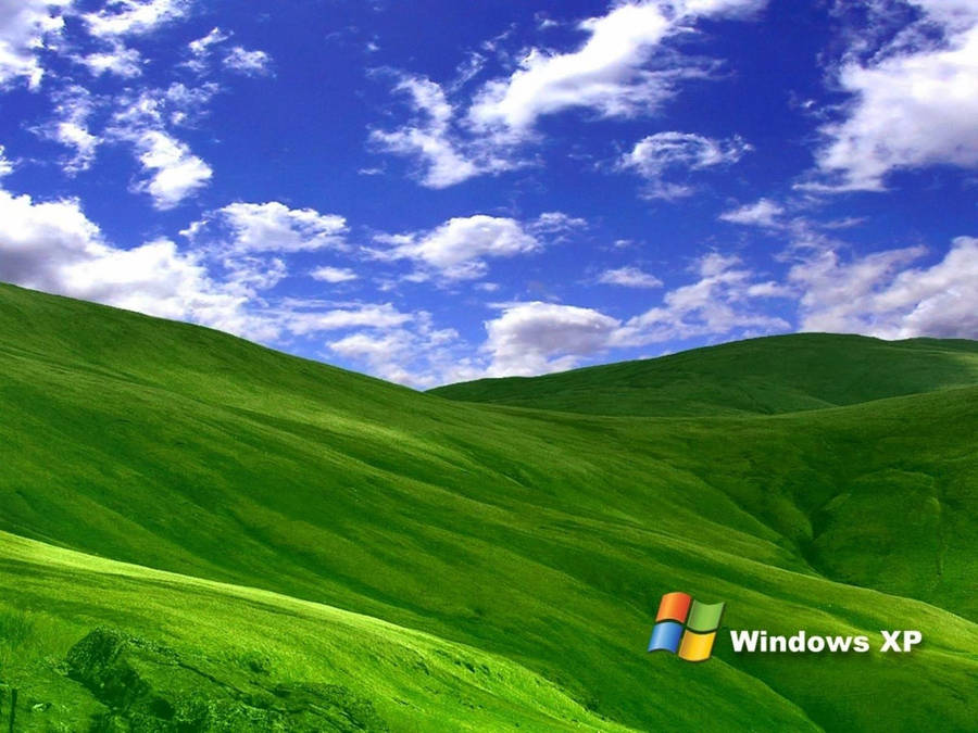 Detail Walpaper Windows Xp Nomer 45