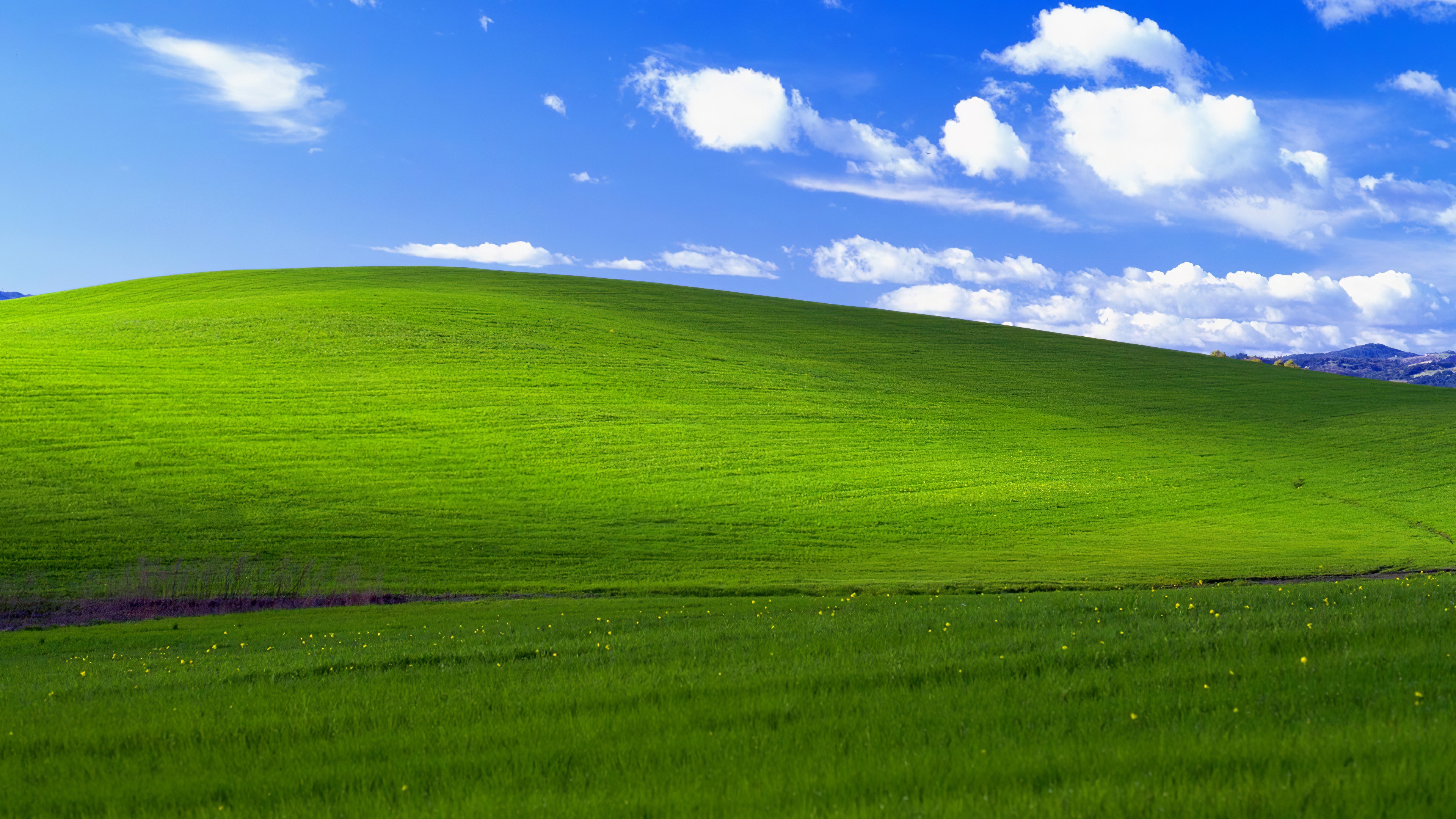 Detail Walpaper Windows Xp Nomer 5