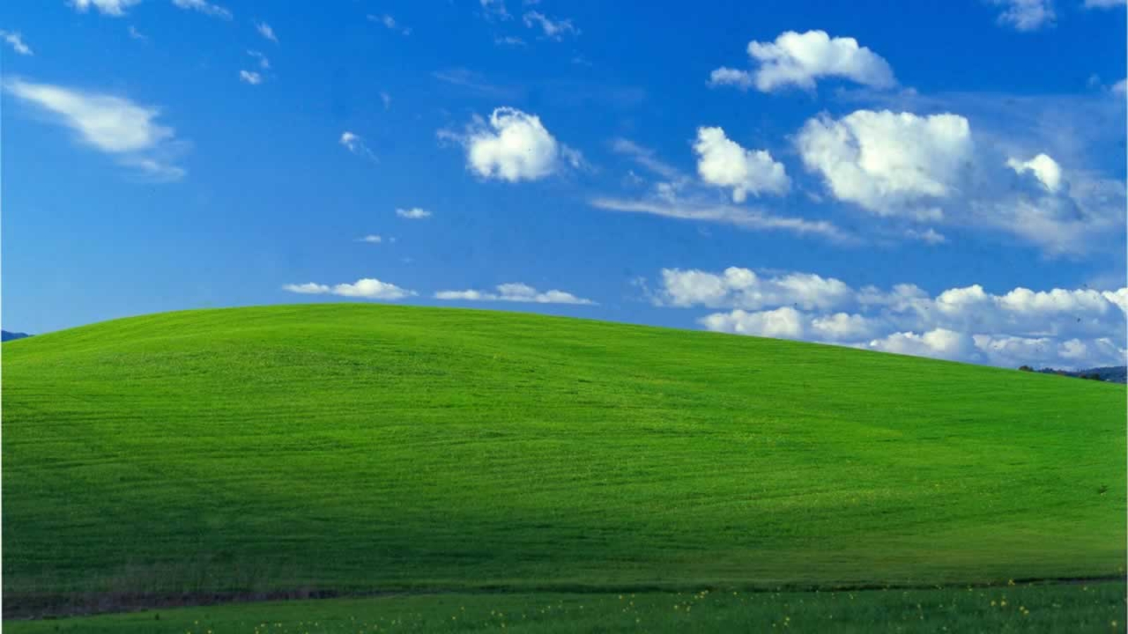 Detail Walpaper Windows Xp Nomer 6