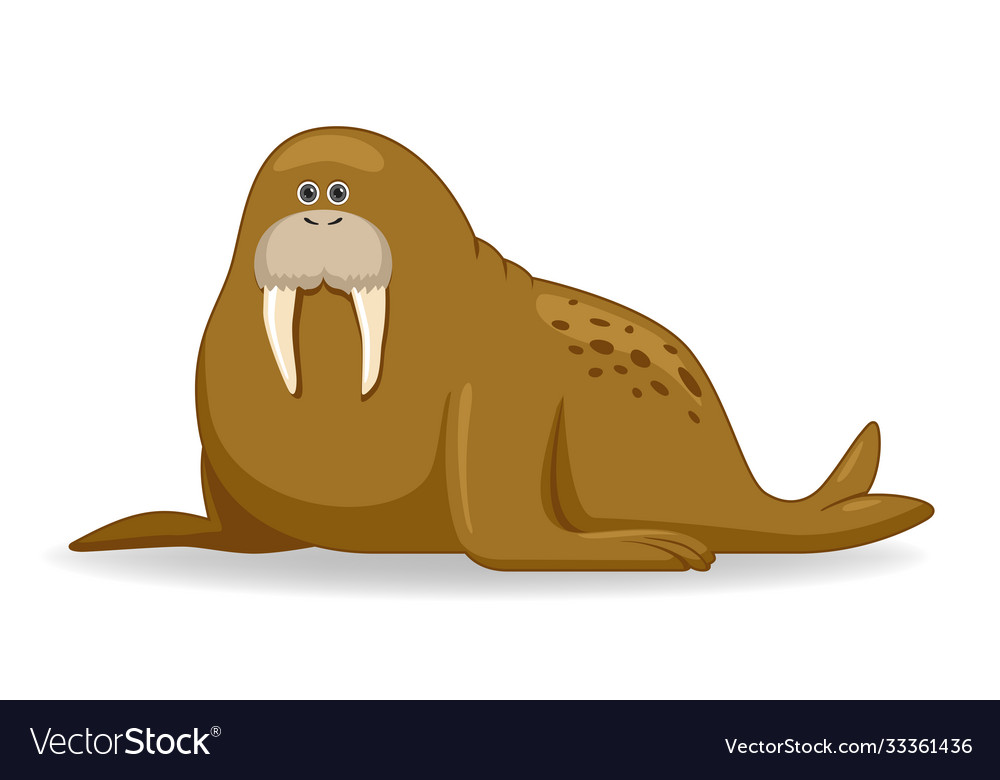 Detail Walrus Background Nomer 37