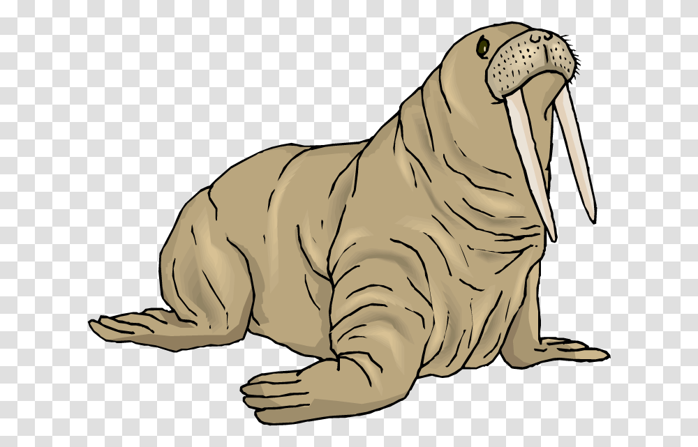 Detail Walrus Background Nomer 39