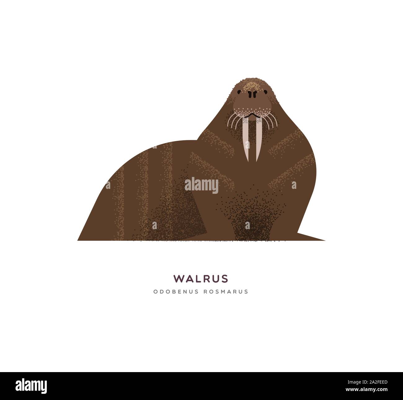 Detail Walrus Background Nomer 43