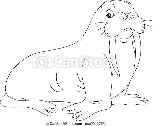 Detail Walrus Black And White Clipart Nomer 7